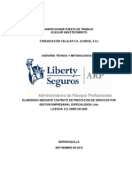 Informe Ipt Claro-liberty