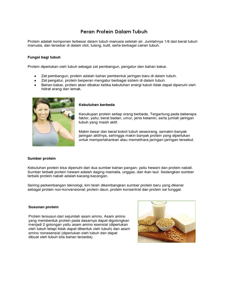 Peran Protein Dalam Tubuh Pdf