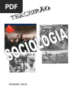 Apostila Sociologia Pss Ok