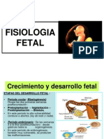 Fisiologia Fetal