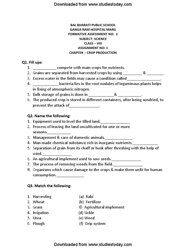Class 10 Science Ch 1 Worksheet