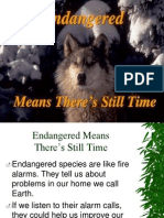 Endangered Species Presentation