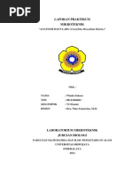 Download mitek-daun_labu by alohayahoo SN208510588 doc pdf