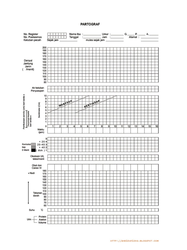 Partograf | PDF