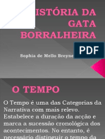 Historia Gataborralheira