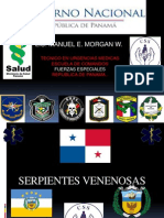 Las Serpientes Venenosas de Panama Comandos