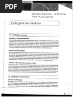 Visao Geral Das Habilidades Gerenciais Lourenzzo