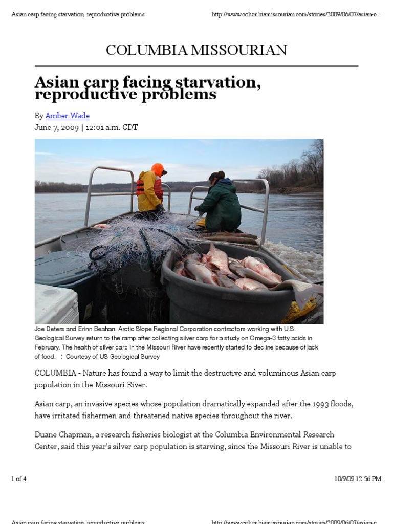 Asian Carp Facing Starvation, Reproductive Problems: Columbia ...