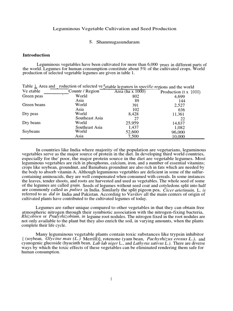 Leguminous Vegetable Cultivation Sowing Legume