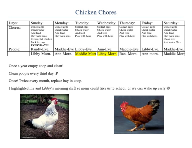 Weekly Chicken Care Schedule | PDF