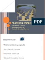 Proyecto Empresarial