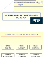 122952492-Norm-Essur-Les-Constit-u-Ants.pps