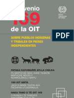 3- Convenio OIT 169 sobre pueblos indígenas y tribales en paises independientes