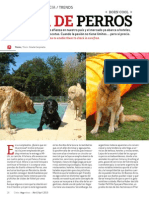 Vida de perros (Cielos Argentinos. Abril 2013)