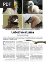 Camiña 2009 Los Buitres en España ECOLOGISTA 60 marzo09