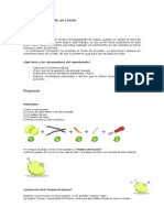 Proyecto de Fisica (Pila de Limon)