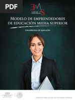 Modelo de Emprendedores