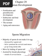 29 Human Development