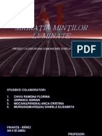 Proiect Migratia Mintilor Luminate