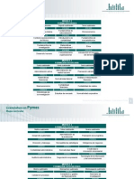 Plan Academico LicenciaturaPYMES