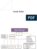 Sesak Nafas