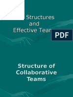 Structure and Effective Teams 19th Generation Sept.
