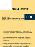 Sindromul Icteric