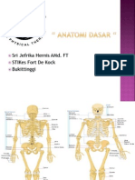 Anatomi Dasar Fisioterapi