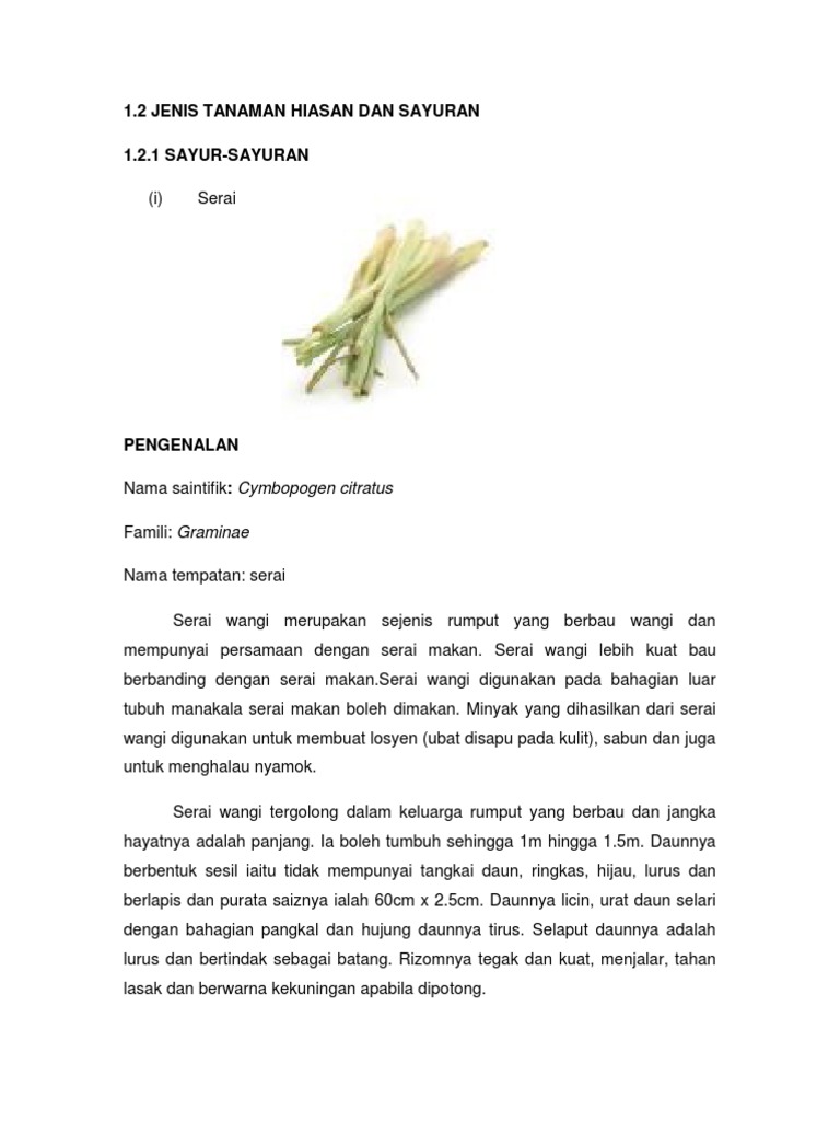 Jenis Tanaman Hiasan Dan Sayuran Pdf