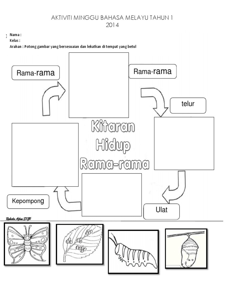 Lembaran Kerja Kitaran Hidup Rama Rama Max Fisher