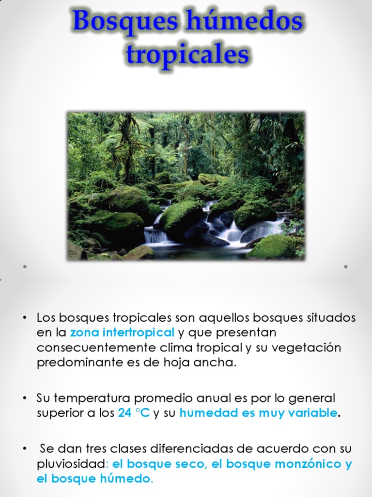 Bosques Húmedos Tropicales | PDF