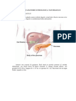 Notiuni de Anatomie Pancreas