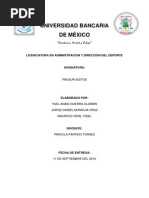 PROYECTO DE PRESUPUESTOS.docx