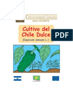 Cultivo Del Chile Dulce
