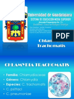 Presentacion Chlamydia Trachomatis