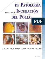 Atlas de Patologias de La Incubacion