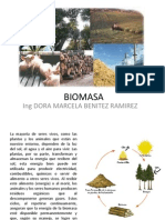 BIOMASA Biocombustibles PDF Febrero 201310