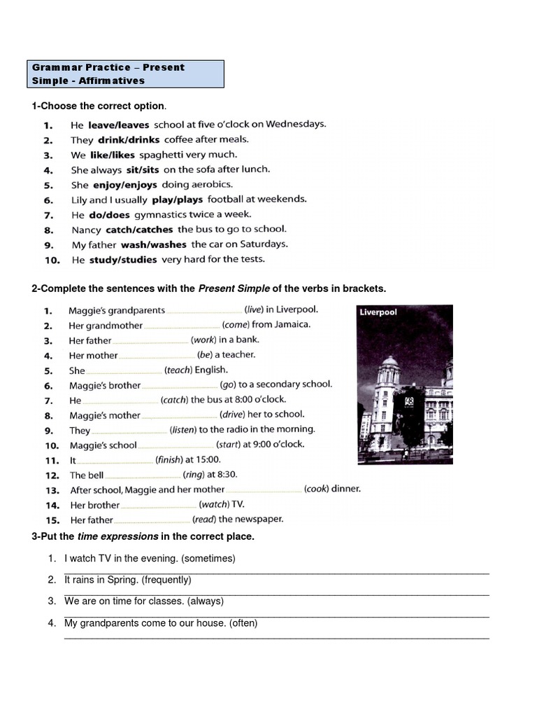 Grammar Practice - Present Simple | PDF | Language Arts & Discipline ...