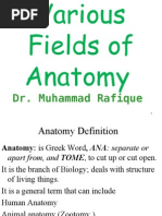 Download Different Feilds of Anatomy by wasaykhan713 SN20880175 doc pdf