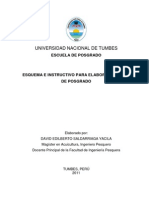 Esquema e Instructivo Tesis Posgrado 2011