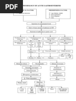 Pathophysiology of Acute gastroenteritis