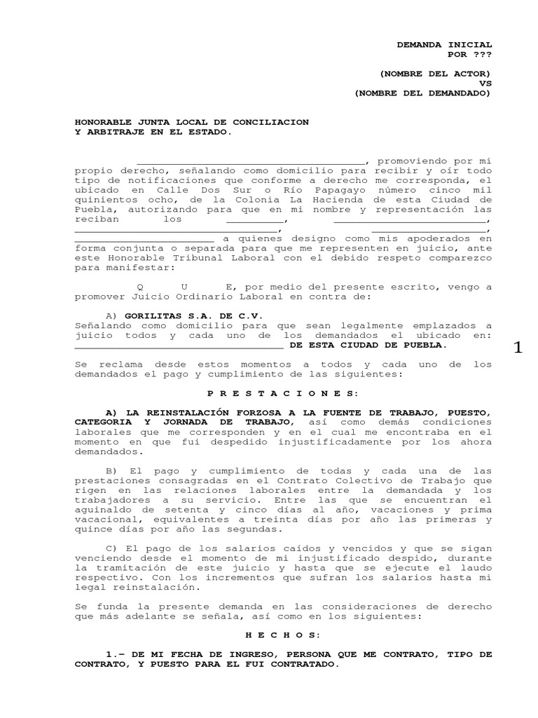 FORMATO DEMANDA LABORAL Derecho laboral Tiempo
