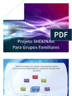 Grupos Familiares - Proj Shekinah para Implantação