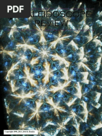 Download Kaleidoscope Review V2N1 by Brett Bensley SN208879261 doc pdf