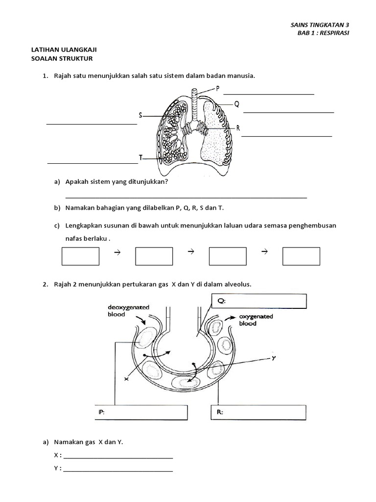 Latihan Ulangkaji Pdf