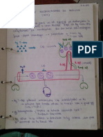 Curs 2 Imunologie Anul 3