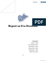Eva Report