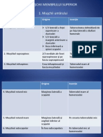 Anatomie lp9-10