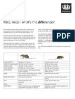 Difference Between Rats and Mice Information Sheet