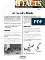 Rat Control in Alberta